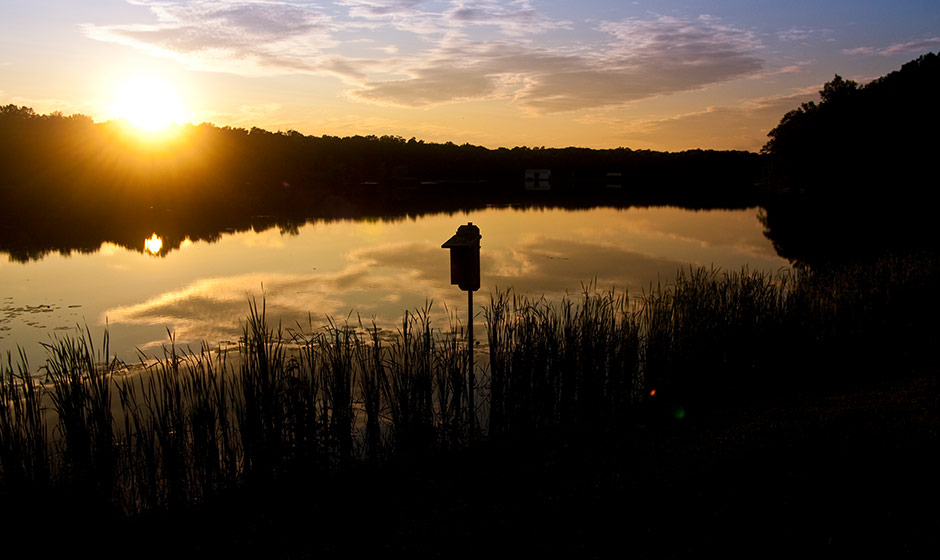 Bereavement Program image