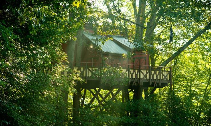 Tree House