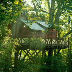 Tree House