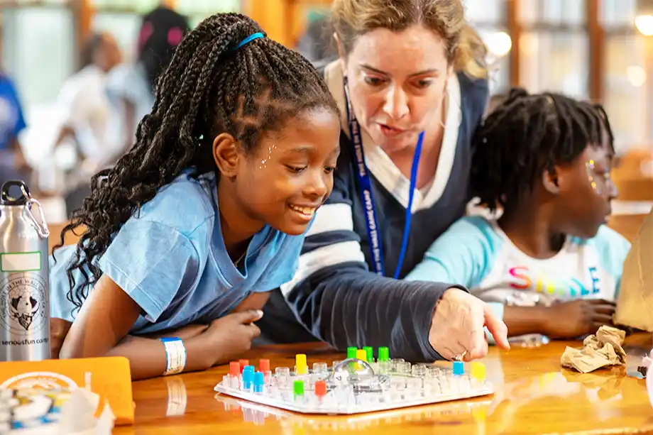 Board Game