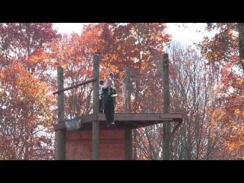 A person plays a brass instrument while sitting on a wooden platform elevated among autumn trees with orange and red leaves.