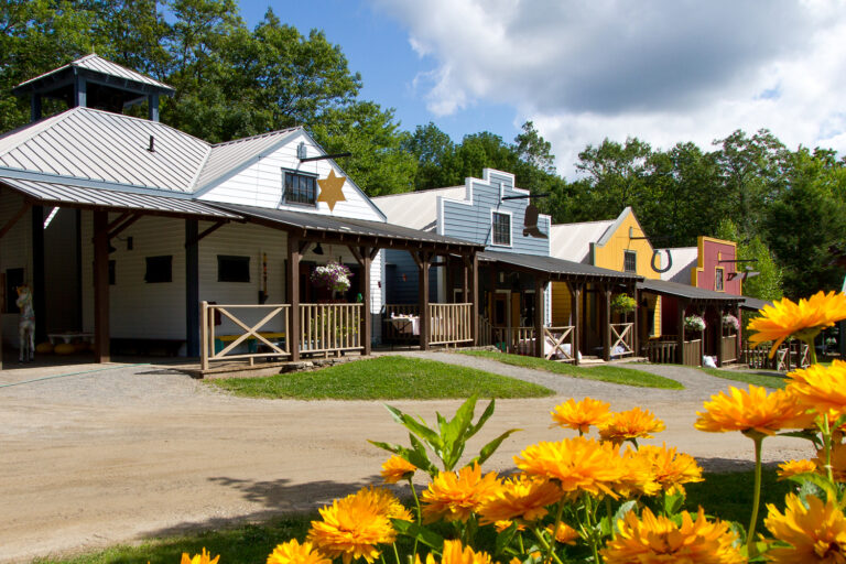 Colorful buildings with Western-style facades line a dirt road, surrounded by green trees and bright yellow flowers in the foreground under a partly cloudy sky.