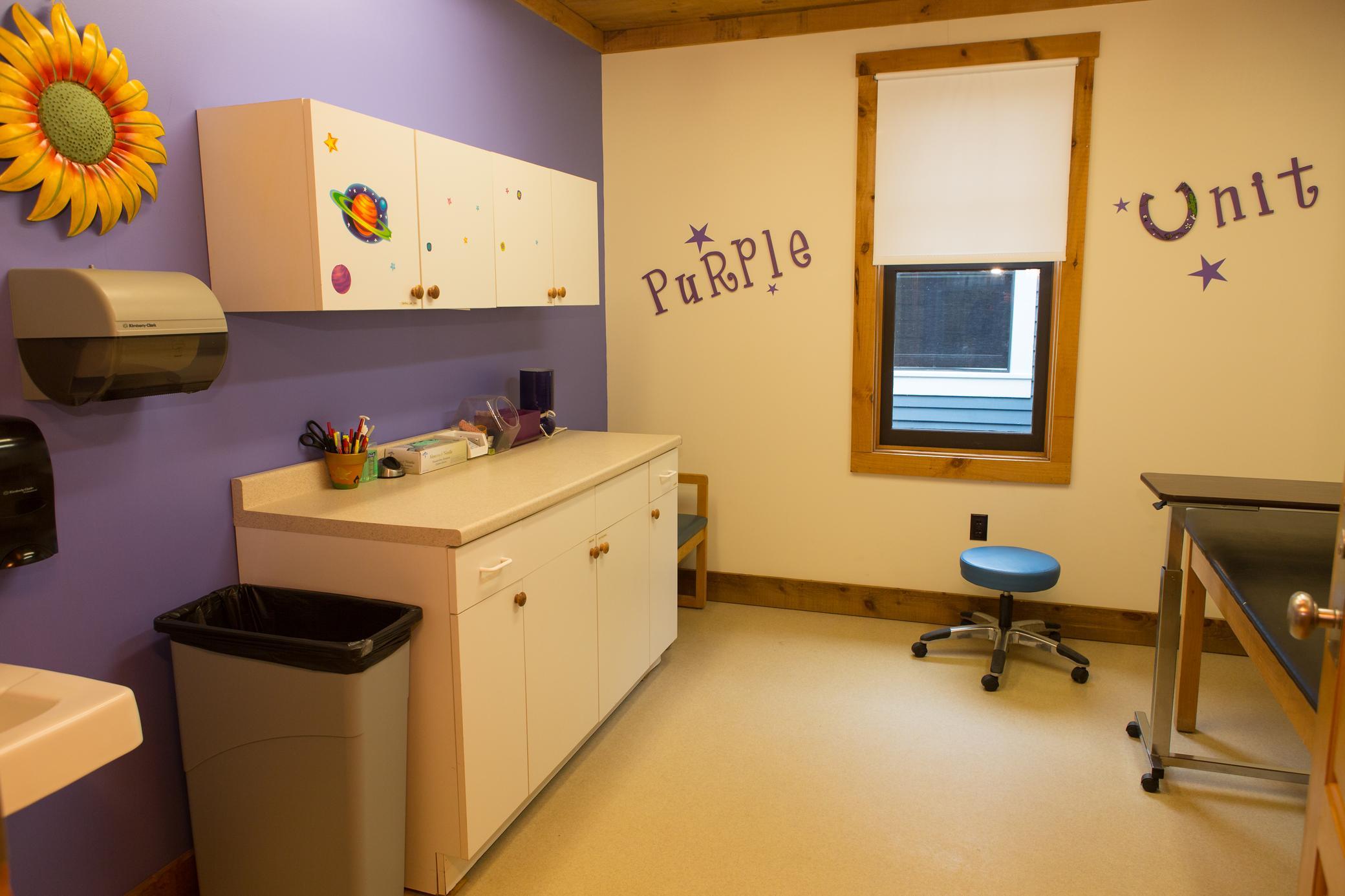 A brightly lit exam room with purple walls, cabinets, a sunflower decoration, a stool, and words Purple Unit on the wall. Supplies and a trash bin are next to the counter under cabinets.