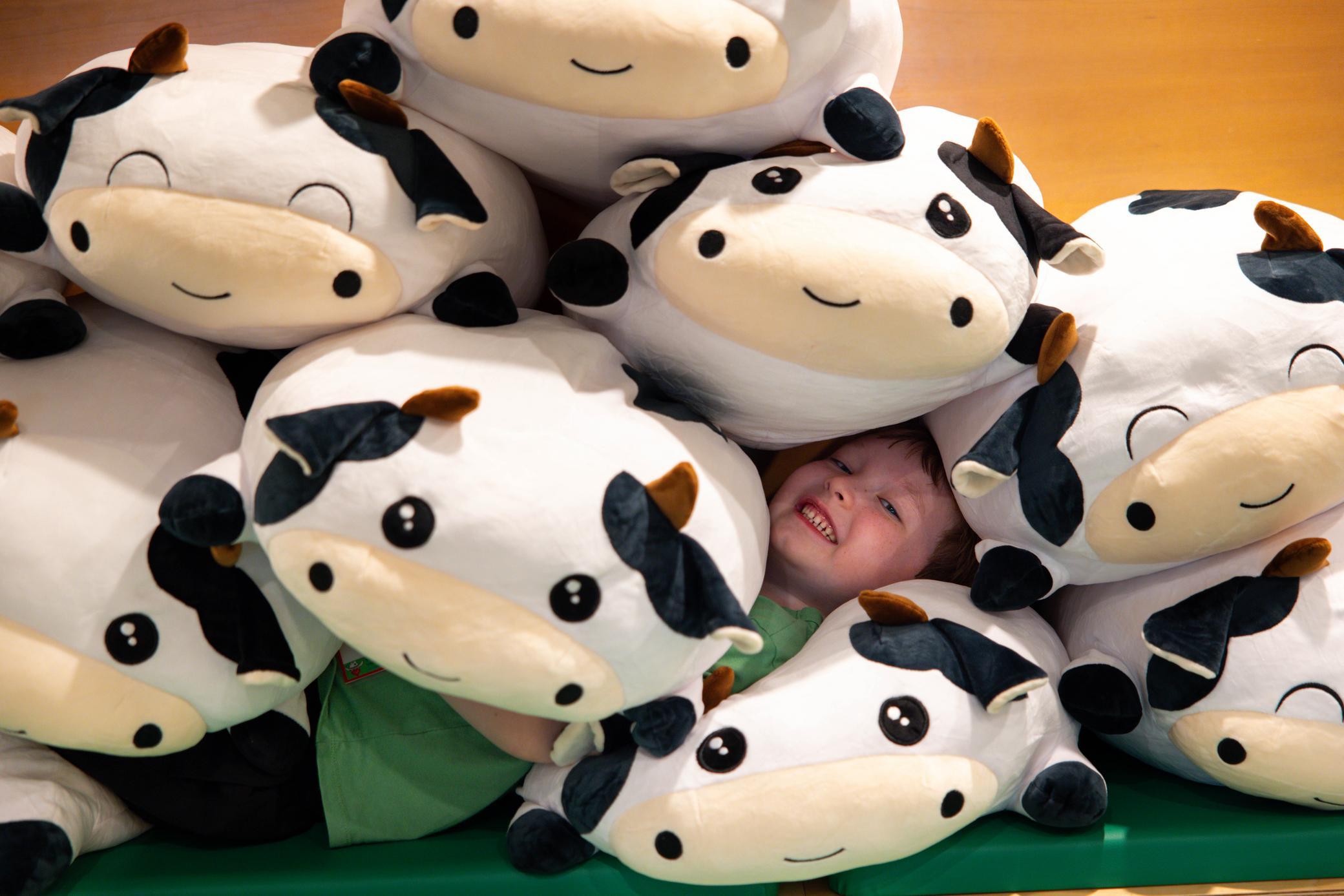 A smiling child is surrounded by large, plush cow toys, with only their face visible among the soft, white stuffed animals.
