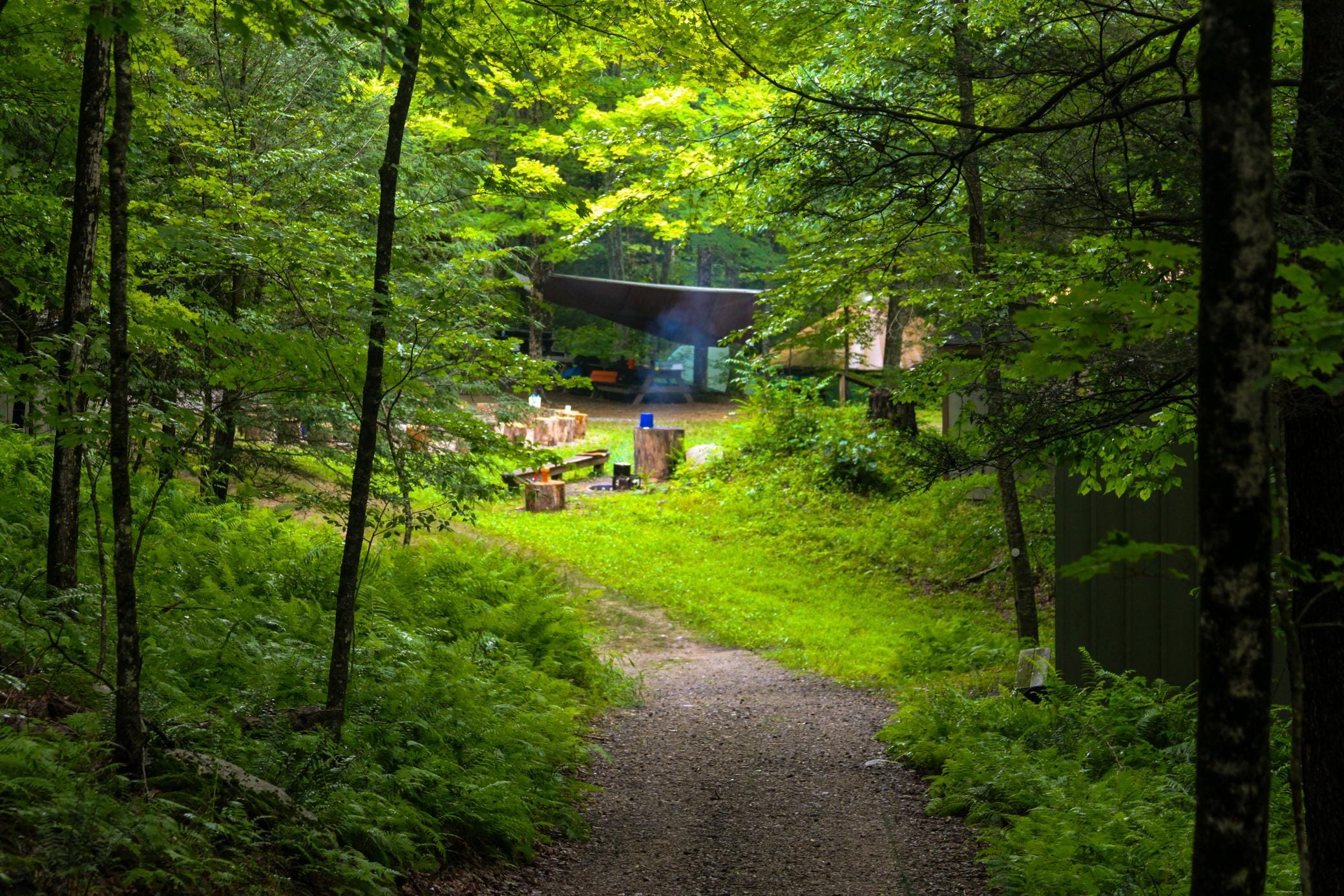 A forest path leads to a campsite with benches, a blue water container, and a tarp shelter among tall green trees. Sunlight filters through the foliage.